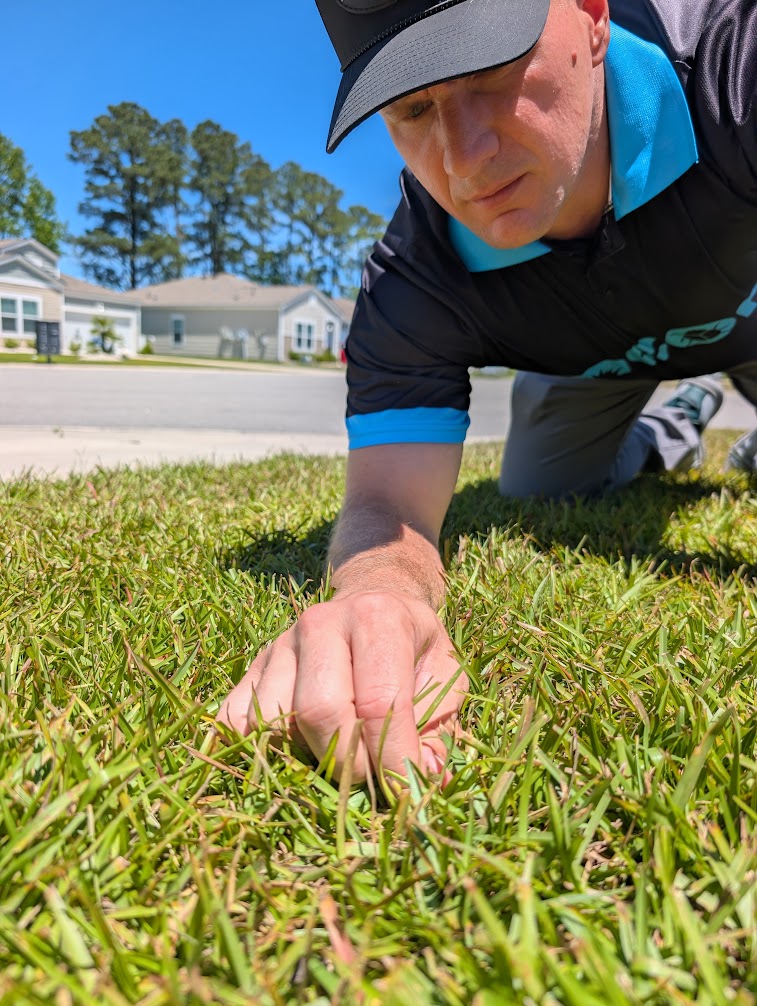 Neon technician checking turf during a lawn inspection