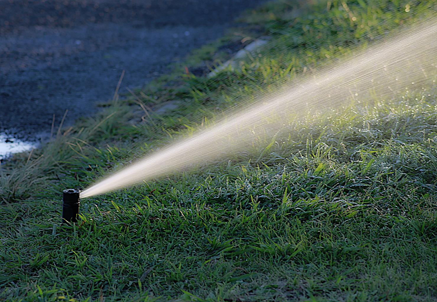 Irrigation running on a sandy North Myrtle Beach lawn to flush salts past the root zone