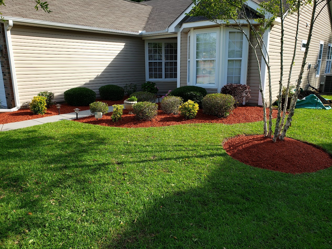 Freshly installed mulch bed with a clean edge by Neon Pest and Lawn in Horry County, SC