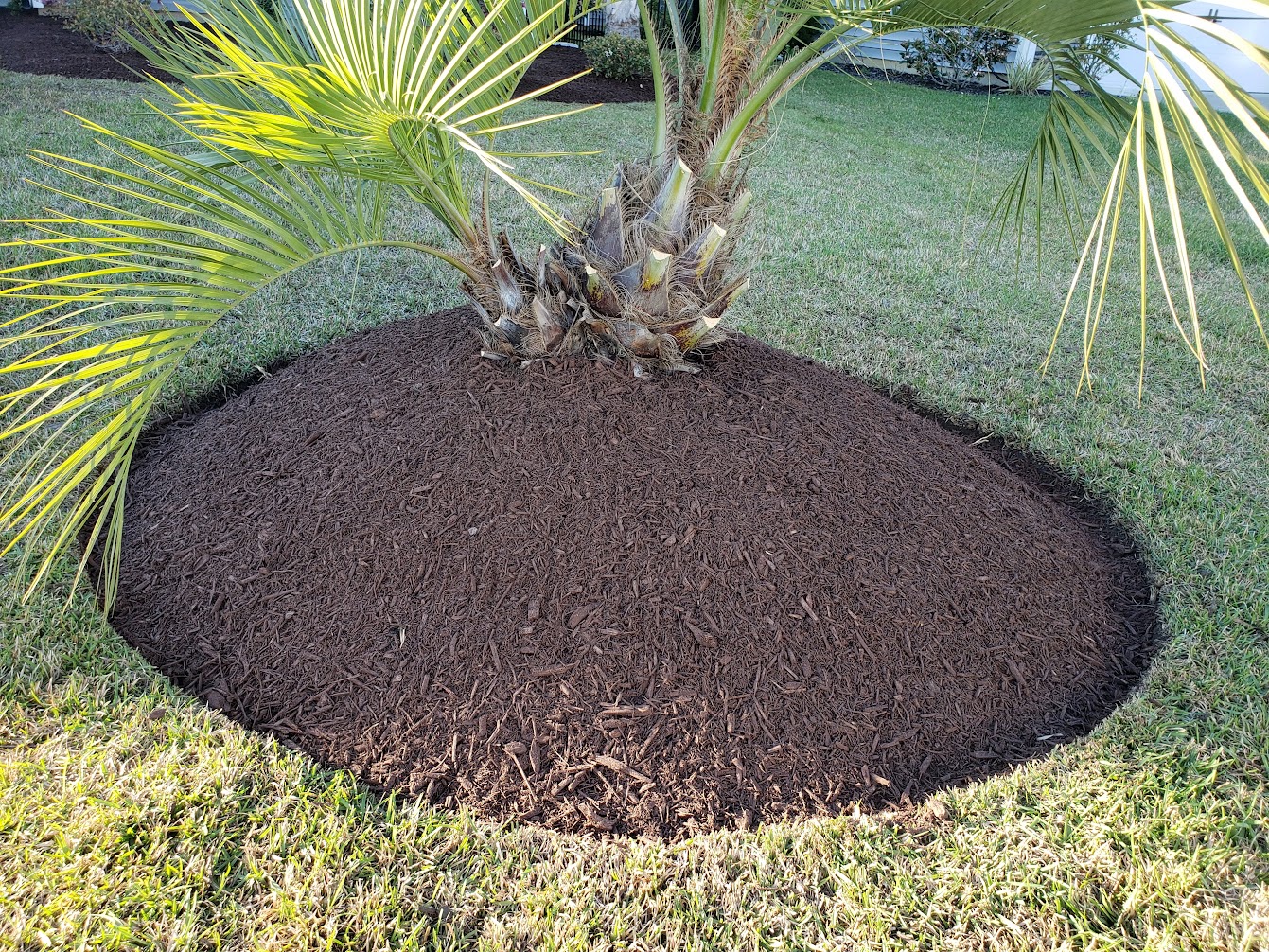 Finished mulch bed installed in Conway