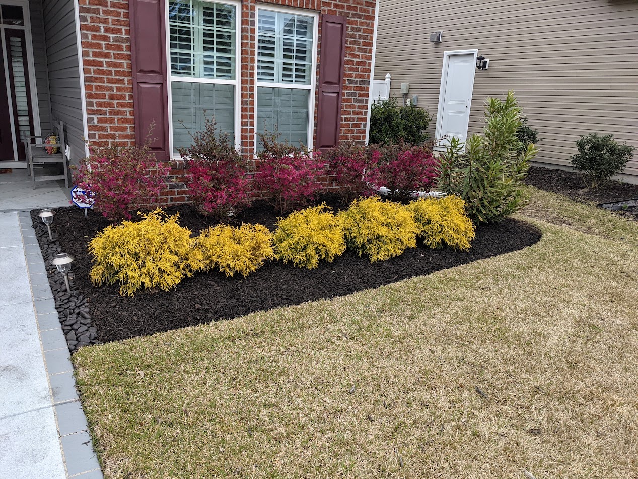 Mulch bed with colorful shrubs against a brick foundation
