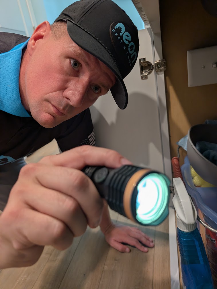 Technician inspecting for ant entry points