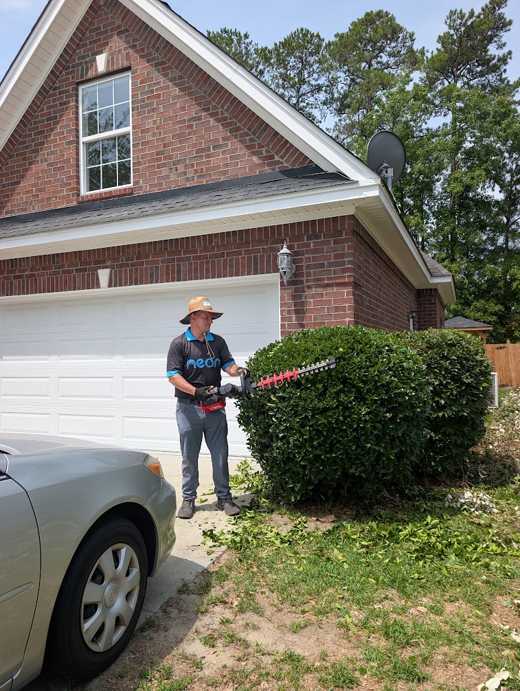 Shrub and hedge trimming by Neon Pest and Lawn in Horry County, SC