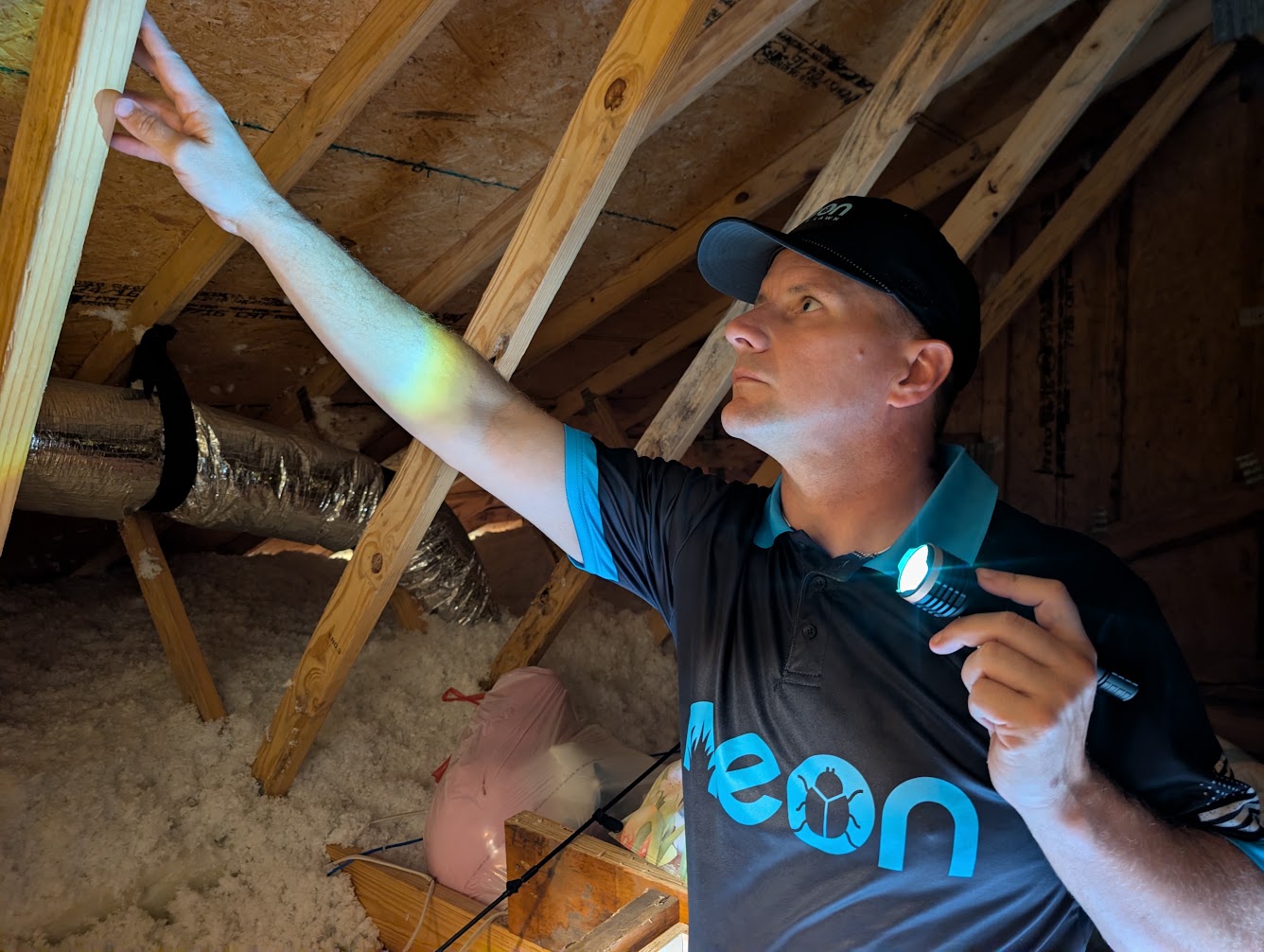 Neon technician inspecting attic framing for termite activity