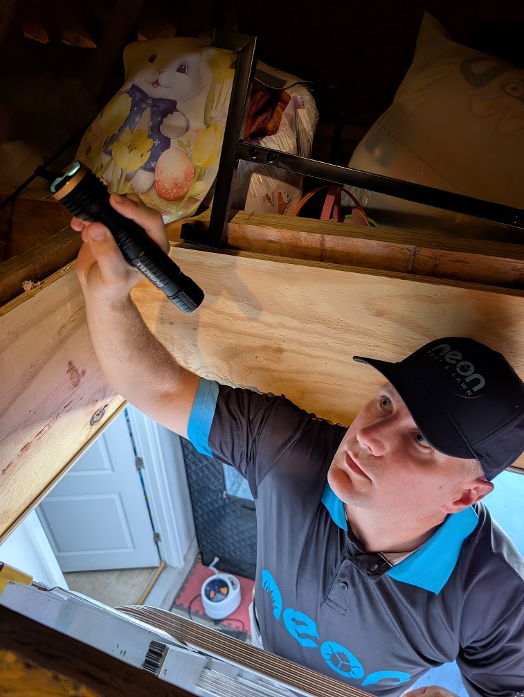 Attic inspection for termite activity