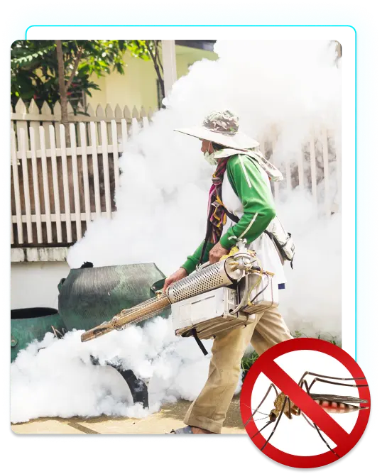 Natural Mosquito Control