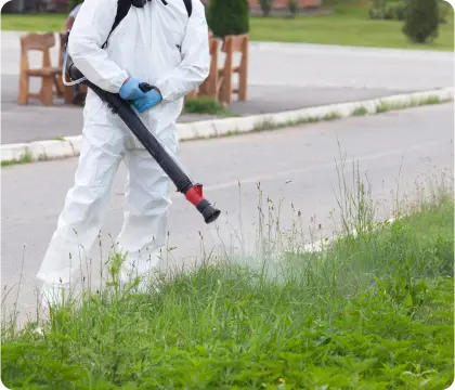 midsection-man-spraying-pesticide-plants