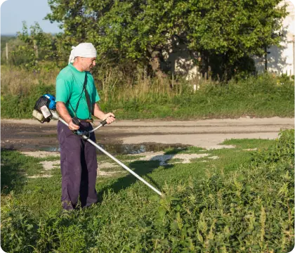 neon pest control care company