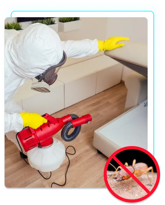 Best termite treatment