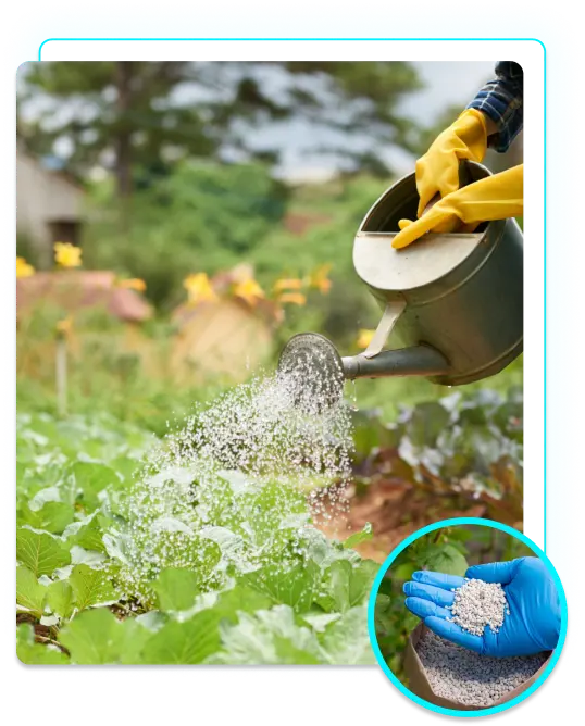 lawn Fertilizer service