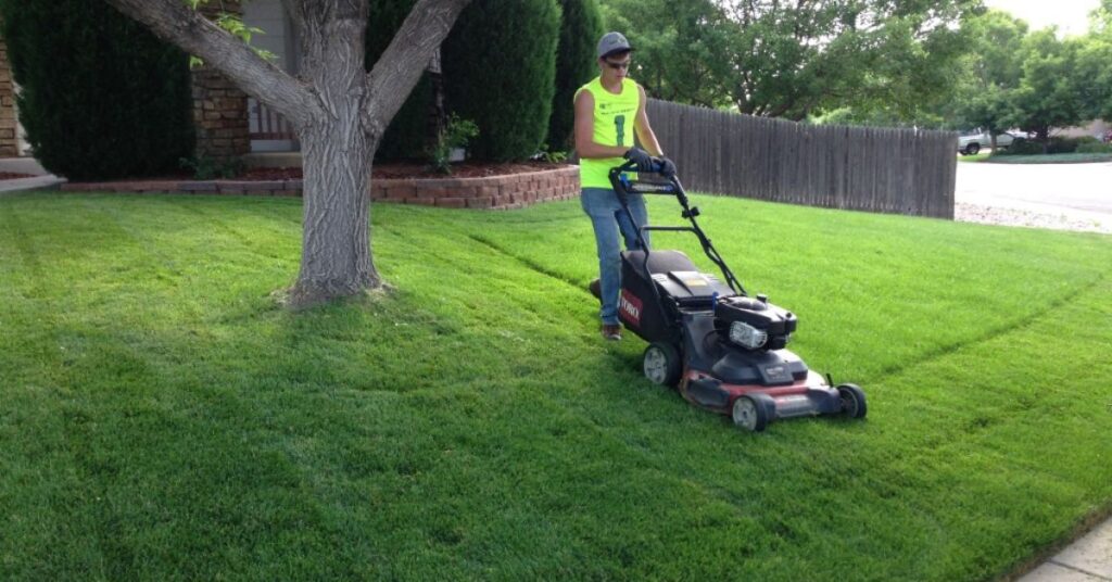 Residential Lawn Mowing Services