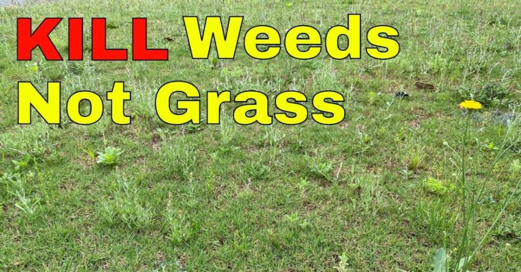 What is the best thing to kill weeds but not grass?