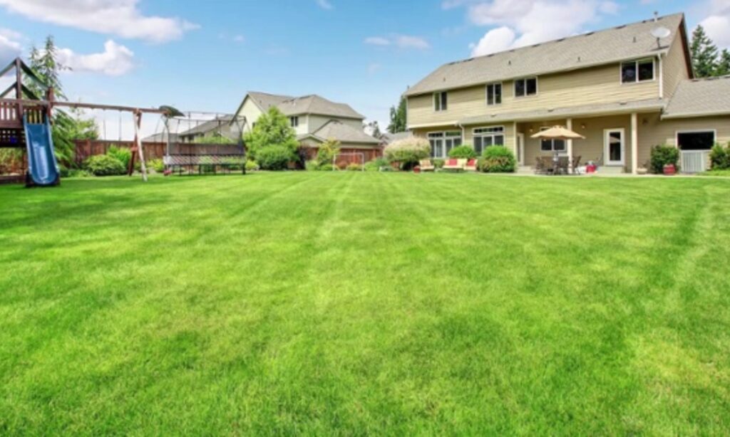 What to Look for in a Green Lawn Service