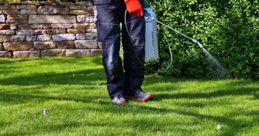 best weed killer