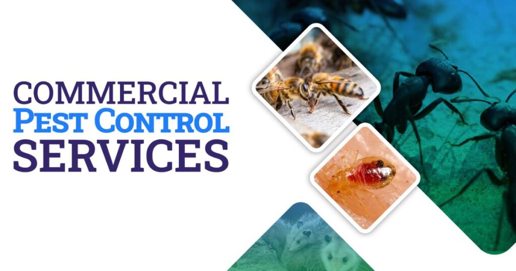 commercial Pest control services