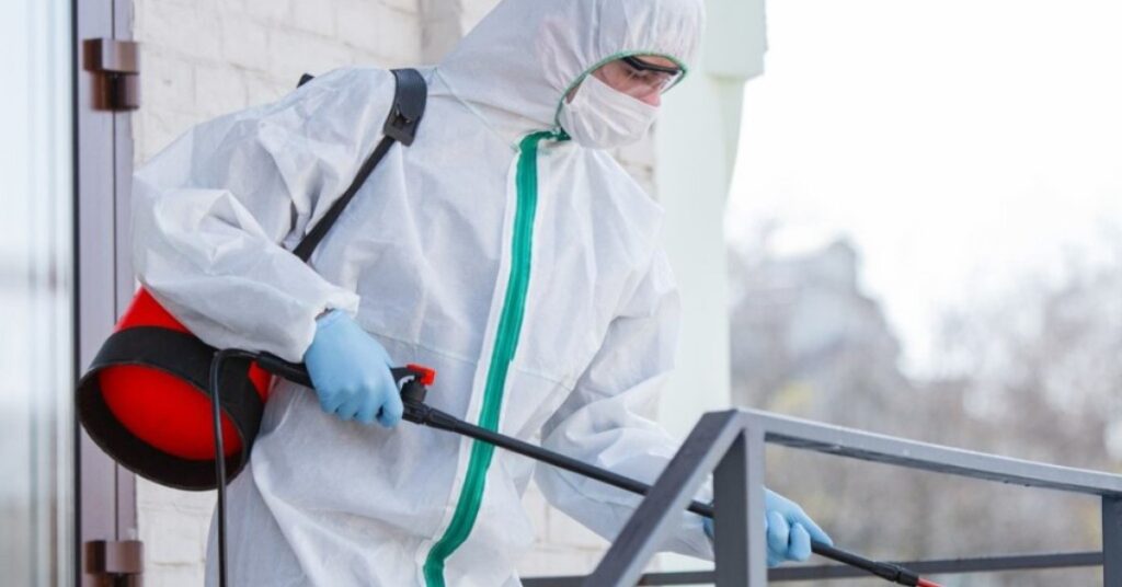 how much does pest control cost