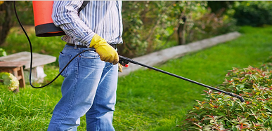 termite lawn treatment