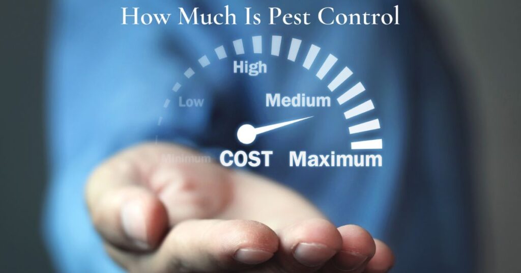 How Much Is Pest Control