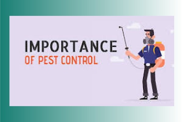 Importance of pest control solutions