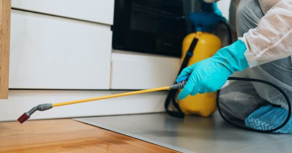 affordable pest management