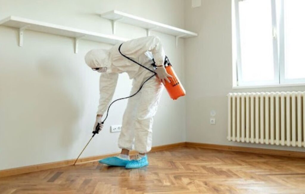 how much should pest control cost