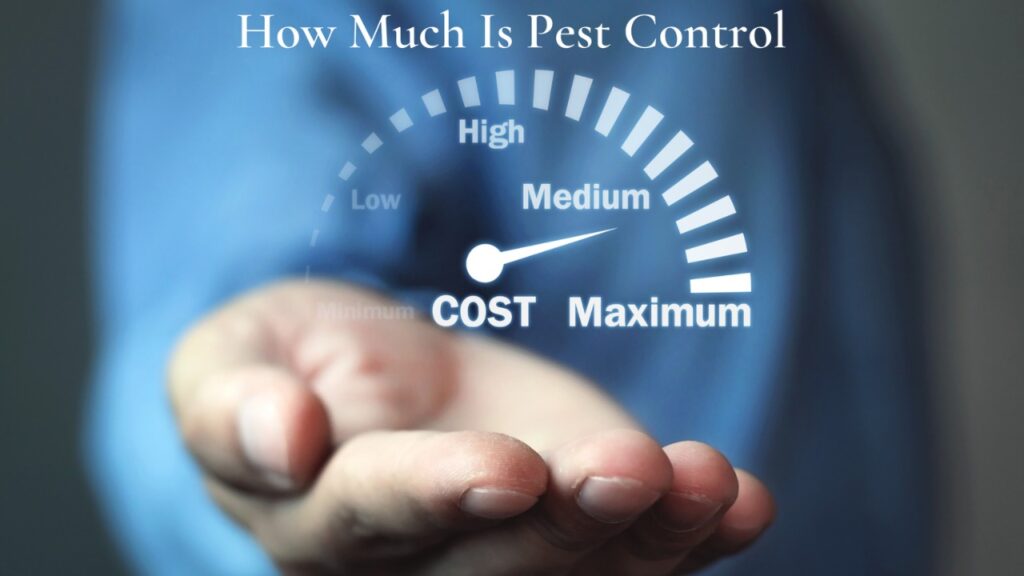 Pest Control Costs