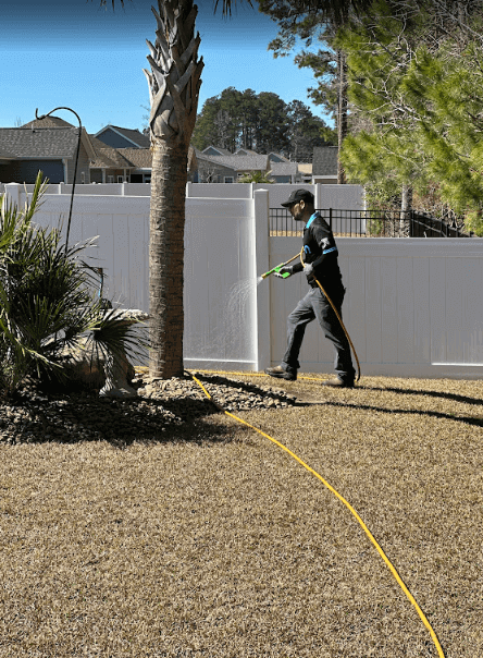 A Neon Pest and Lawn employee waters a palm tree in a well-maintained yard, showcasing lawn care service in Conway.