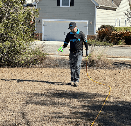 A man waters a green lawn using a garden hose on a sunny day