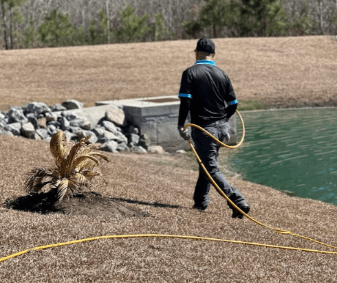 A man waters his lawn with a hose, highlighting the need for effective lawn fertilizer service.
