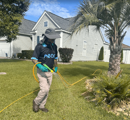 A Neon Pest and Lawn employee in a hat and black shirt sprays a hose on a residential lawn for effective lawn care.