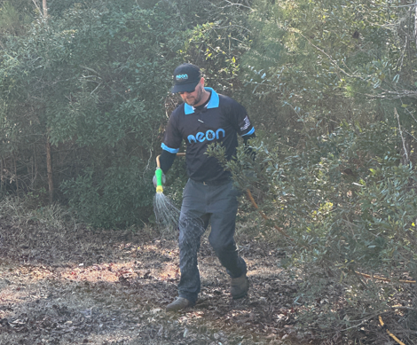 Weed controlling work being done outdoors to maintain a clean and healthy lawn.